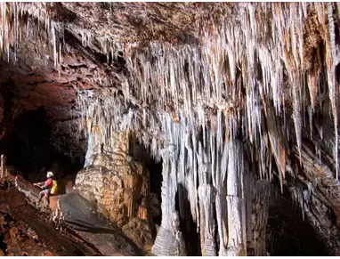 Cueva del Soplao (2).webp